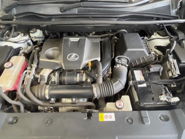 25714268_carP_l_18.jpg