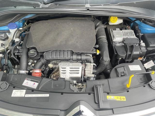 26084571_carP_l_18.jpg