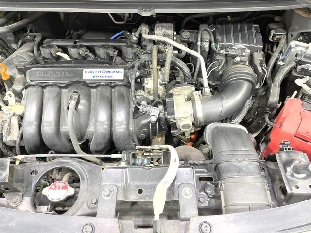 25572079_carP_l_16.jpg