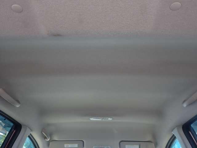24301029_carP_l_8.jpg