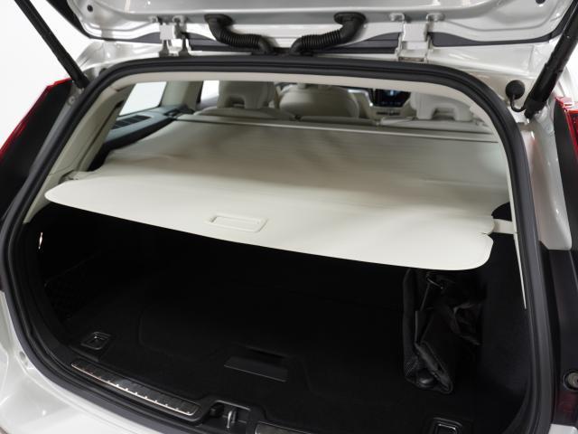 24700517_carP_l_11.jpg