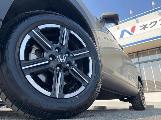 26022701_carP_l_9.jpg