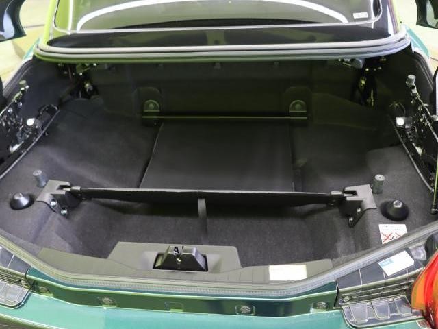 25030214_carP_l_5.jpg