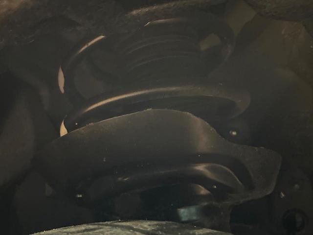 25942301_carP_l_20.jpg
