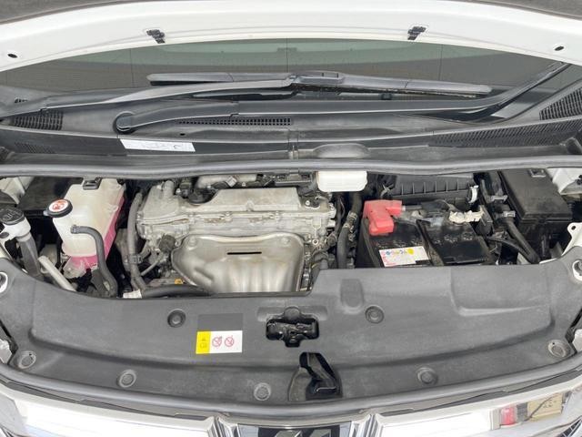 25714280_carP_l_16.jpg