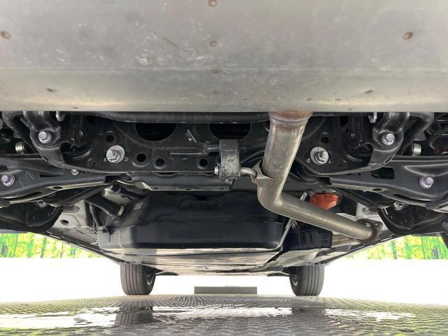 24664737_carP_l_18.jpg