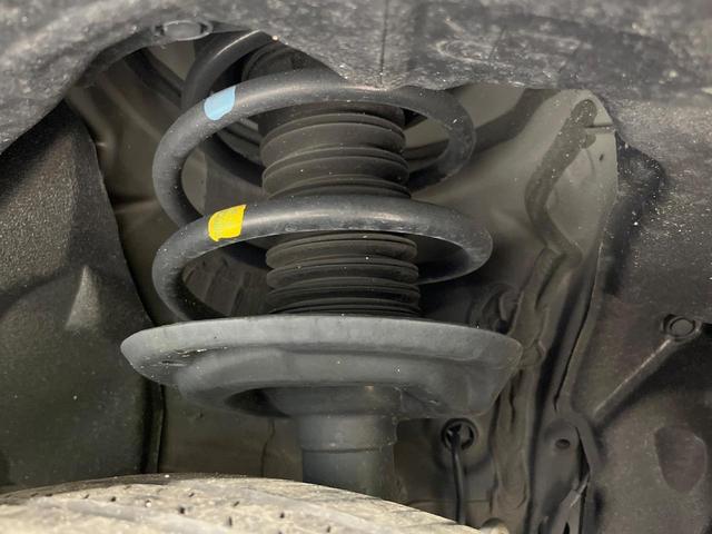 24664737_carP_l_20.jpg