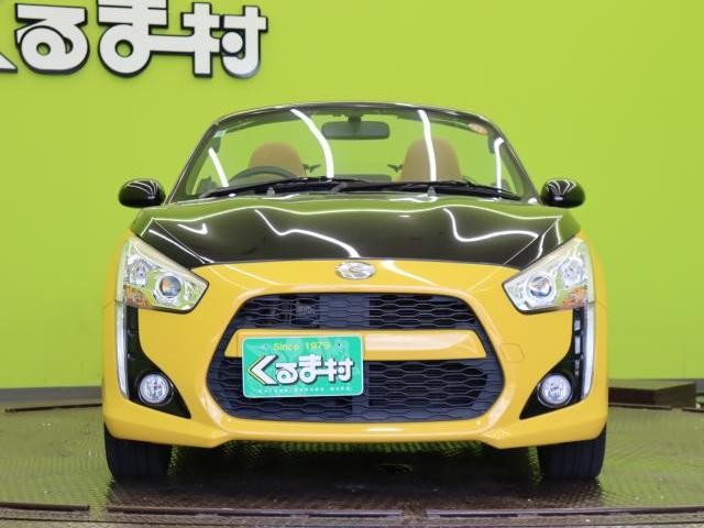 25152541_carP_l_20.jpg