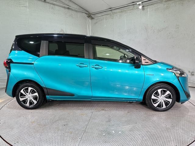 26225725_carP_l_9.jpg
