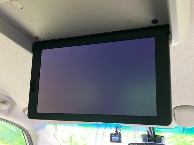 25942603_carP_l_15.jpg