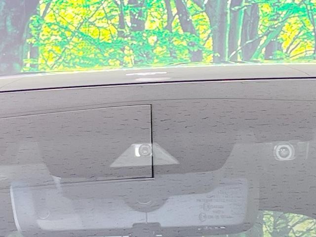 26491681_carP_l_10.jpg