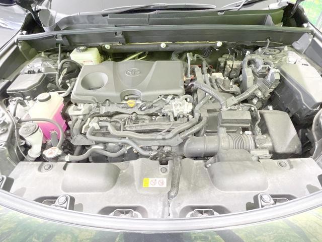 26491681_carP_l_16.jpg