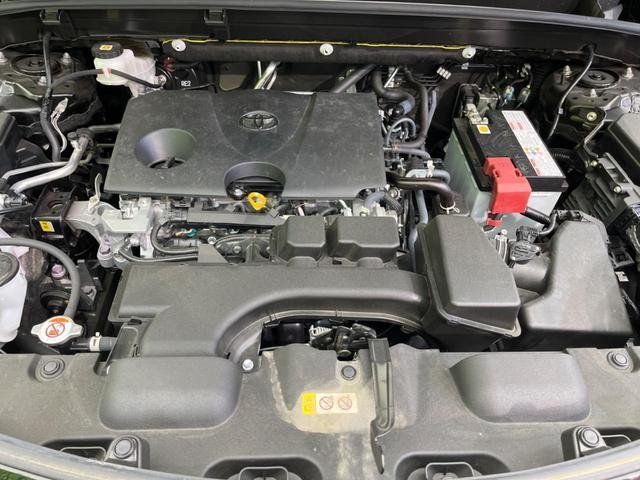 26402785_carP_l_16.jpg