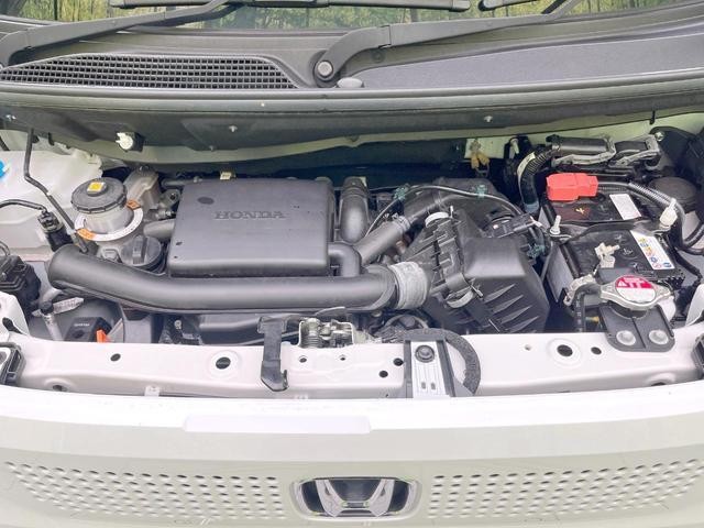 26794094_carP_l_16.jpg