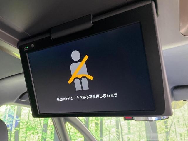 26645567_carP_l_14.jpg
