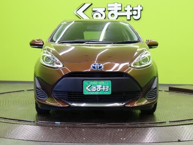 25173258_carP_l_20.jpg