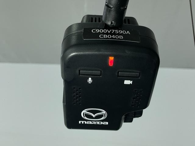 25880556_carP_l_18.jpg