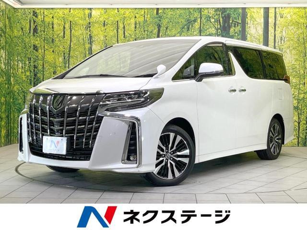 2023 Toyota Alphard, photo 1 of 1