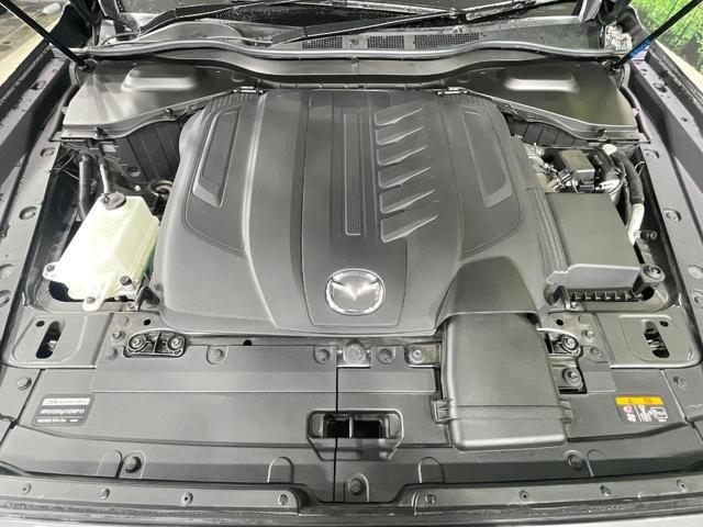 24829028_carP_l_16.jpg