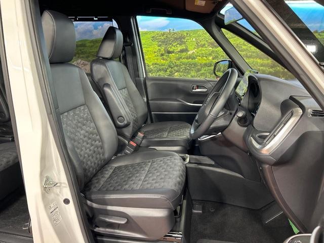 25885278_carP_l_17.jpg