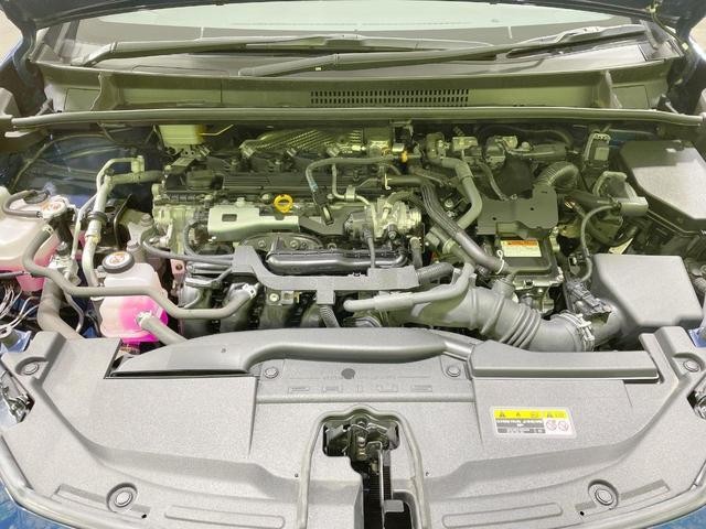 27162242_carP_l_18.jpg