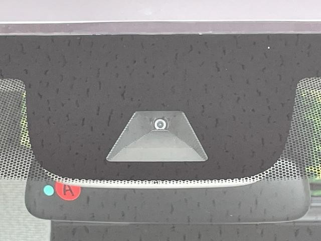 25885301_carP_l_15.jpg
