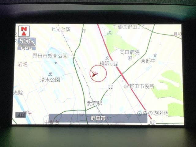 25880558_carP_l_9.jpg