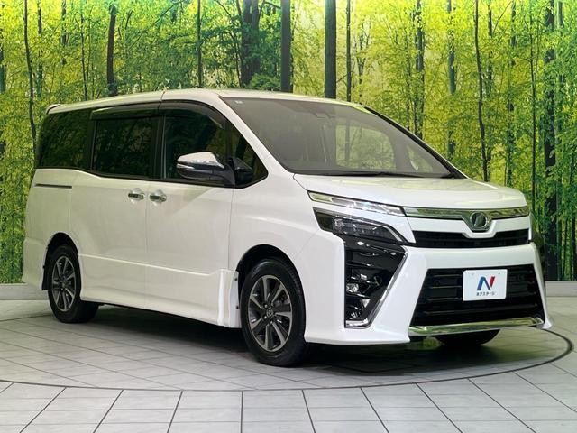 26022862_carP_l_11.jpg