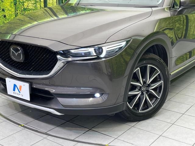 26731564_carP_l_6.jpg