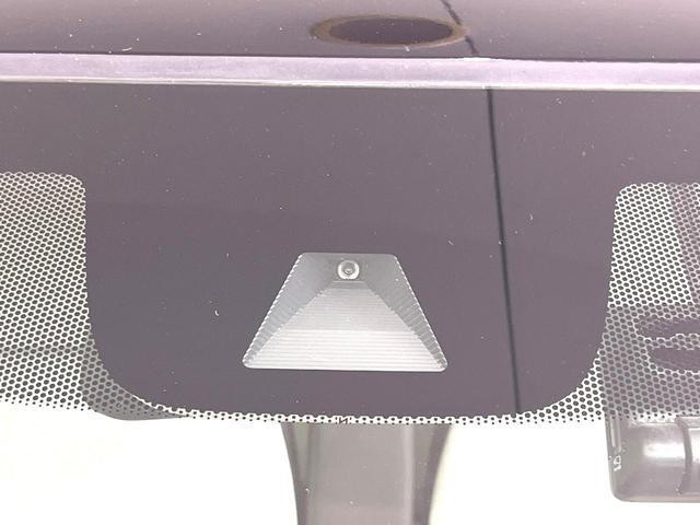26002484_carP_l_10.jpg