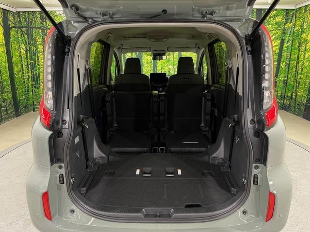 26002494_carP_l_6.jpg