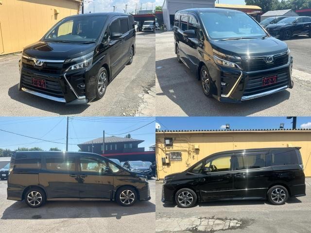 26022557_carP_l_19.jpg