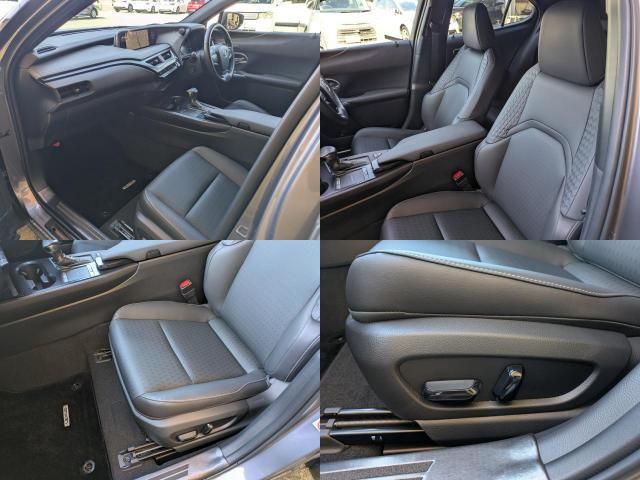 24538659_carP_l_16.jpg