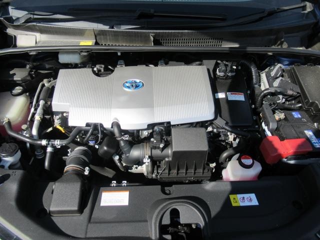 0204805A30260610W00116.jpg