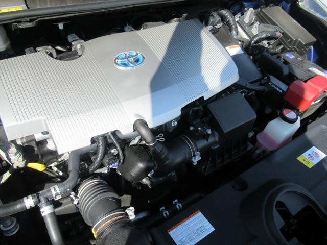 0204805A30260610W00117.jpg