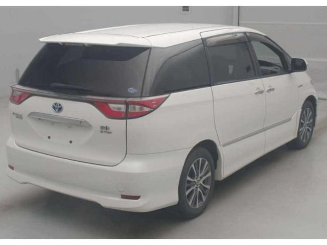 24843421_carP_l_3.jpg