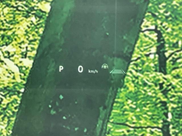 26645589_carP_l_5.jpg