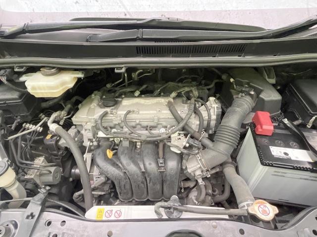 25904057_carP_l_18.jpg
