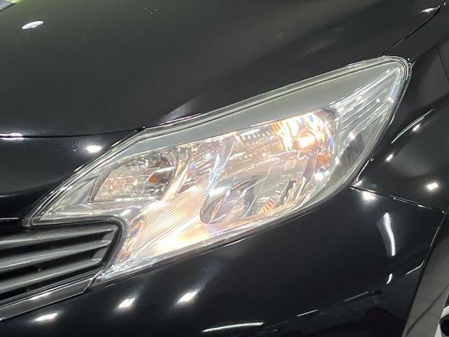 24051361_carP_l_7.jpg