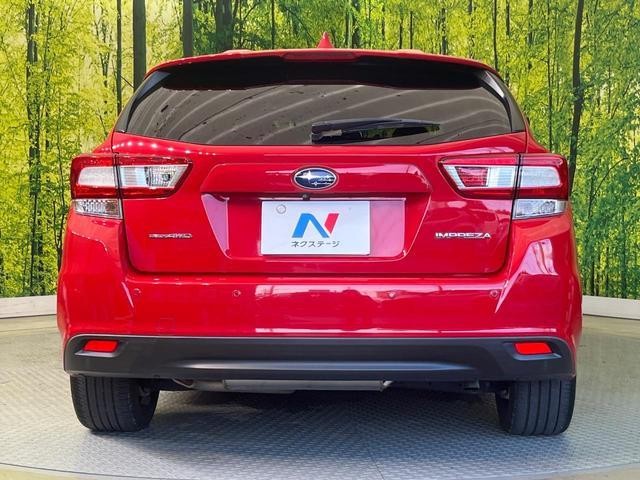 25904115_carP_l_9.jpg