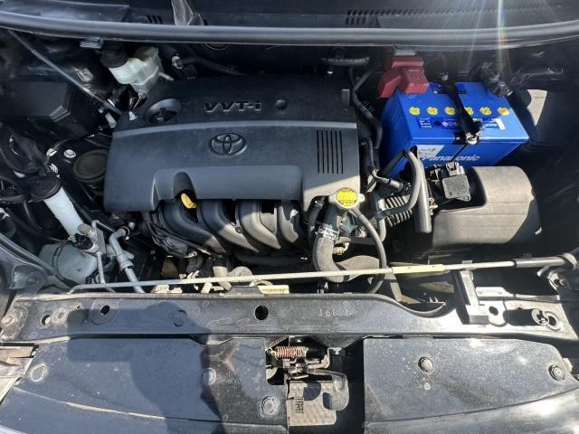 25588838_carP_l_17.jpg