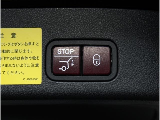 26967961_carP_l_20.jpg
