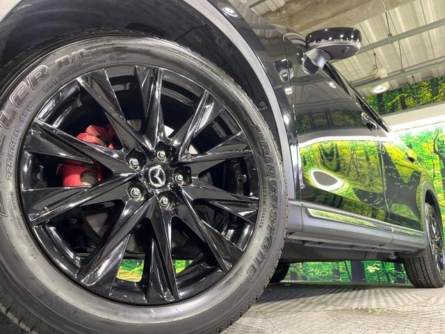 26002659_carP_l_7.jpg