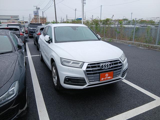 26023129_carP_l_1.jpg