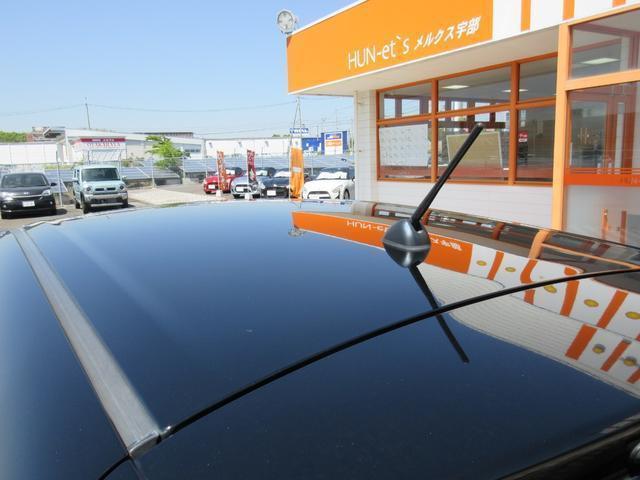 24000817_carP_l_19.jpg