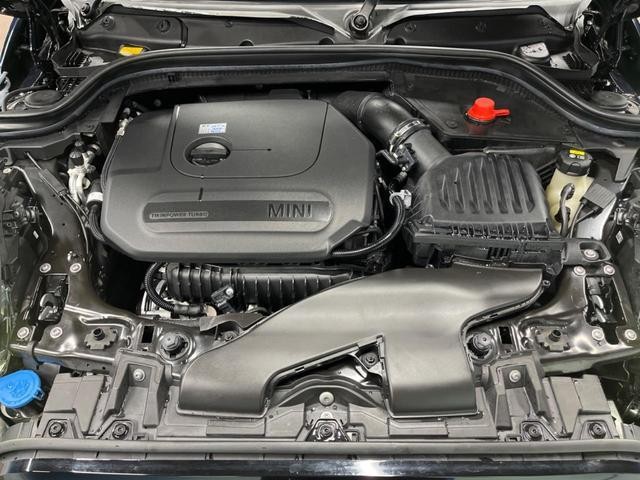 25591370_carP_l_18.jpg