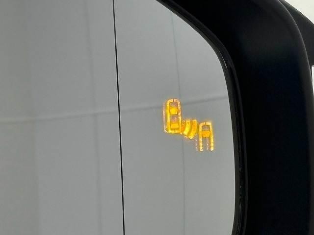 26100000_carP_l_4.jpg