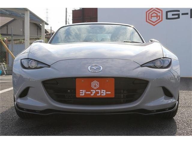 26194942_carP_l_17.jpg