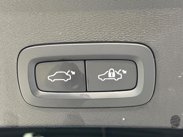25117447_carP_l_14.jpg