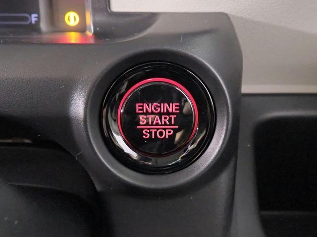 0207791A30260806W00611.jpg
